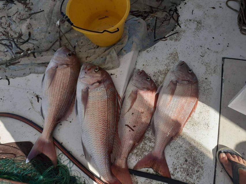 Naxos: Private Fishing Trip with Catch & Cook Onboard Meal - Who will enjoy this most?