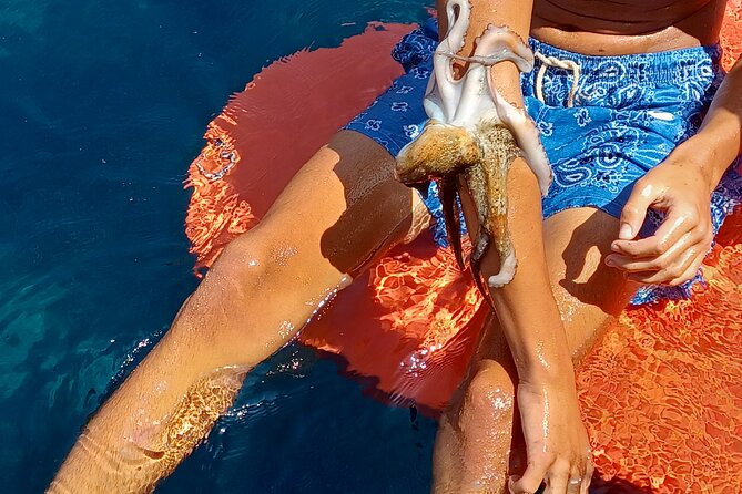 Naxos private fishing trips, lunch on board & island hopping - Lunch with local Greek flavors