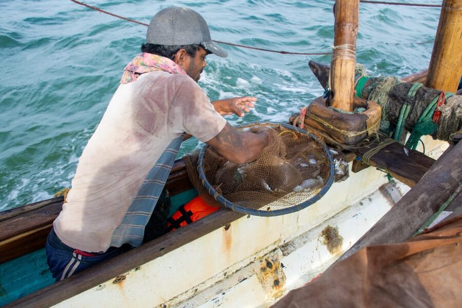 Negombo: Catamaran Sailing with Traditional Fishermen - Who Should Book It