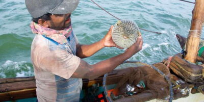 Negombo: Catamaran Sailing with Traditional Fishermen