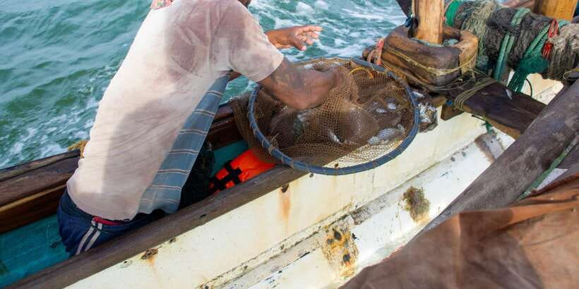 Negombo: Catamaran Sailing with Traditional Fishermen - Age, Seasickness, and Comfort