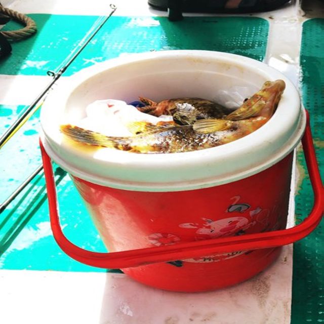 Nha Trang - Private Fishing tour - Languages, guide support, and private-group comfort