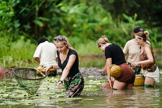 Ninh Binh eco group tour - Buffalo riding, rice planting, fishing - What happens at Buffalo Cave in Tam Coc
