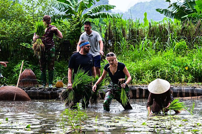 Ninh Binh eco group tour - Buffalo riding, rice planting, fishing - Price, group size, and what you receive