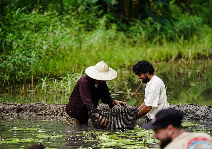 Ninh Binh: Rice planting and fishing by basket tour - What makes this farm visit worth your time