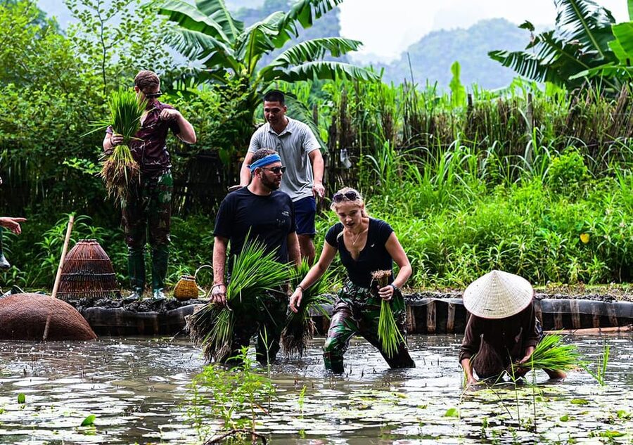Ninh Binh: Rice planting and fishing by basket tour - Fishing with the nom