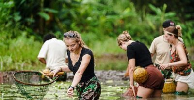 Ninh Binh: Rice planting and fishing by basket tour