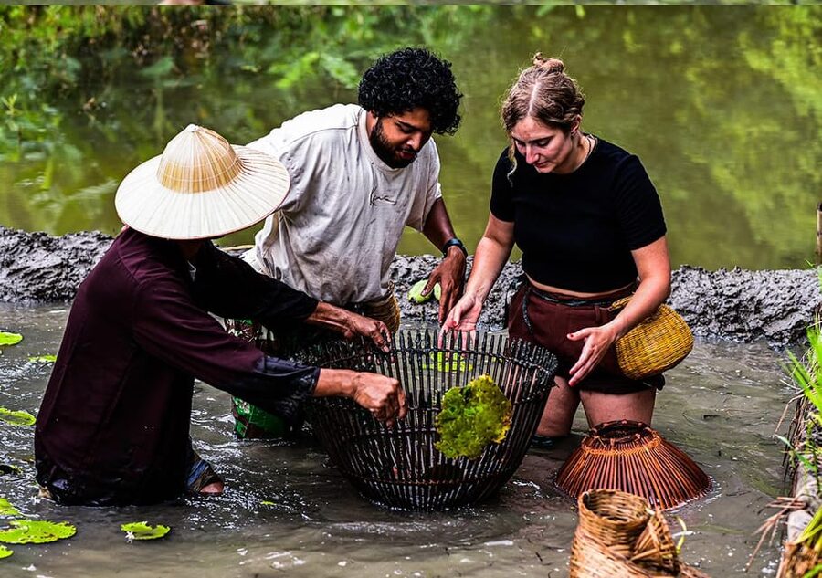 Ninh Binh: Rice planting and fishing by basket tour - A small group with a personal feel