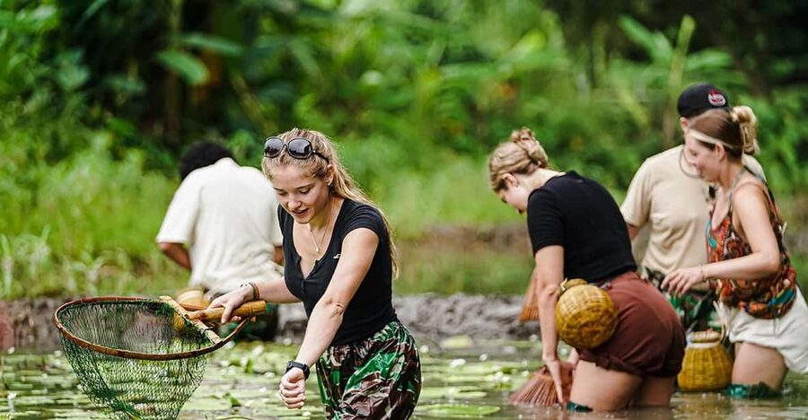 Ninh Binh: Rice planting and fishing by basket tour - Buffalo care before the field work