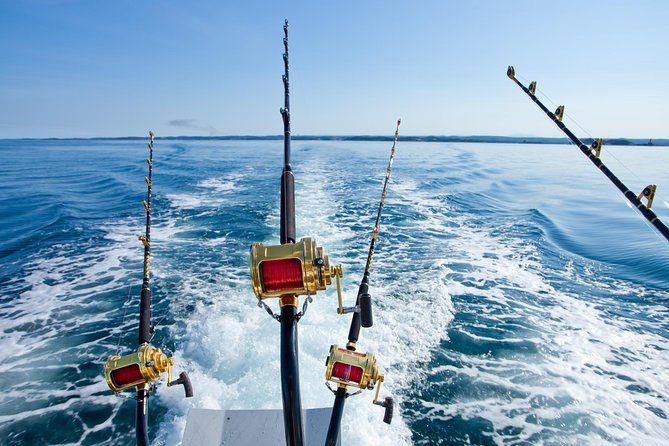 Offshore Fishing - Half Day (Trolling) - Key points before you book