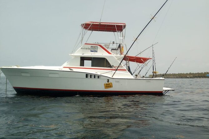 Offshore Fishing - Half Day (Trolling) - Who will enjoy this half-day trip
