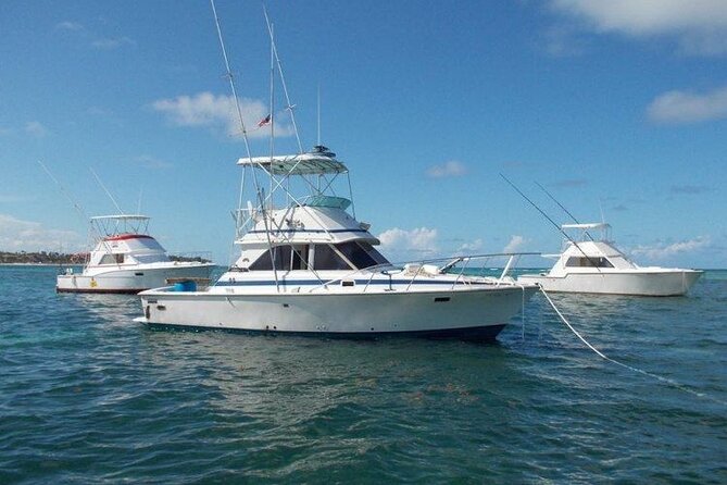 Offshore Fishing - Half Day (Trolling) - Trolling for marlin, tuna, and mahi mahi