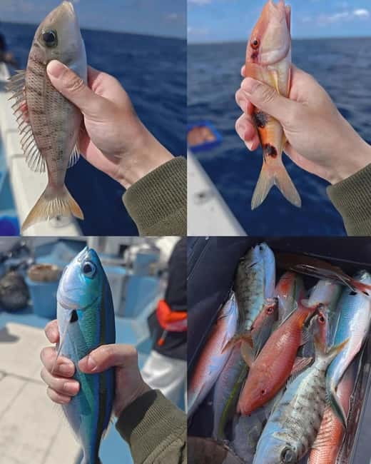 Okinawa: 1/2-Day Private Sea Fishing Charter, Naha w/Pickup - Choosing what to do with your catch