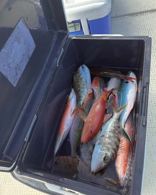 Okinawa: 1/2-Day Private Sea Fishing Charter, Naha w/Pickup - Booking details worth handling early