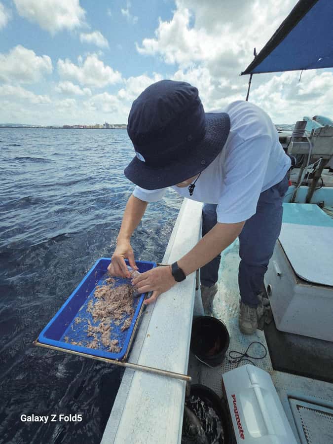 Okinawa: Half-Day Fishing Tour with Local Fisherman - Fishing for Gurukun off Okinawa