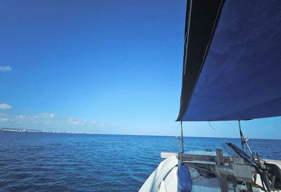Okinawa: Half-Day Fishing Tour with Local Fisherman - Is $96 a fair price?