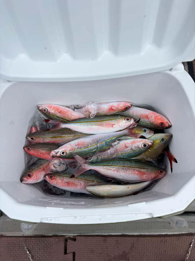Okinawa: Half-Day Fishing Tour with Local Fisherman - The best time to go