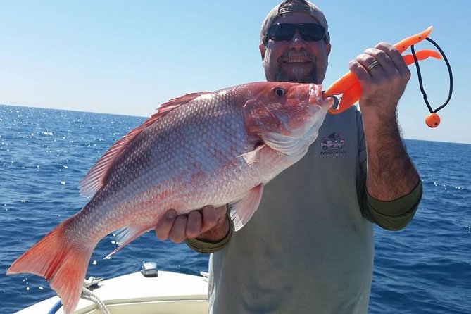 Orlando Deep Sea Fishing Charter - Fish you might target offshore