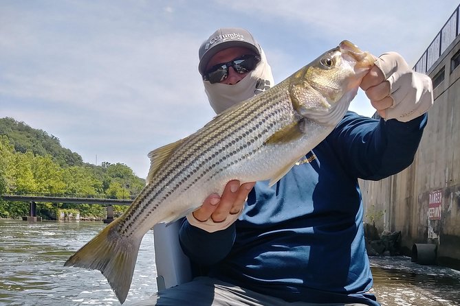 Osprey Fishing Charters: Potomac River Fishing - Captain Rich’s teaching style