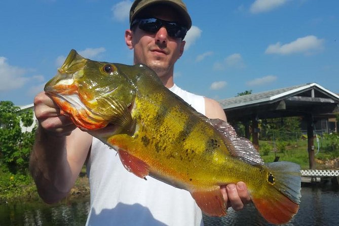 Peacock Bass Fishing Trip in Boynton Beach - Why this peacock bass trip feels personal