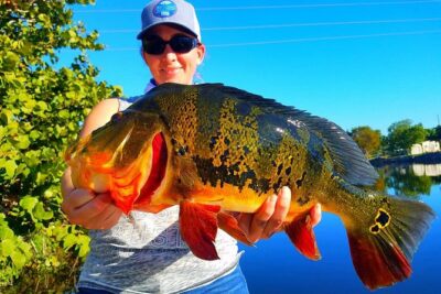Peacock Bass Fishing Trip in Boynton Beach