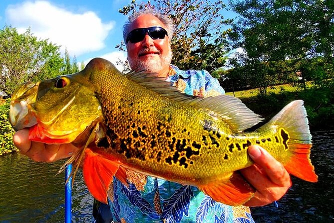 Peacock Bass Fishing Trip near Miami South Beach - Wildlife in the canal system