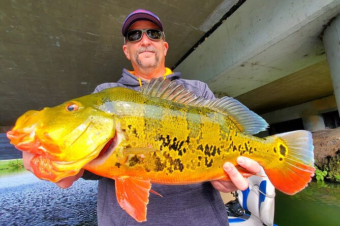 Peacock Bass Fishing Trip near Miami South Beach - What the $600 price really covers