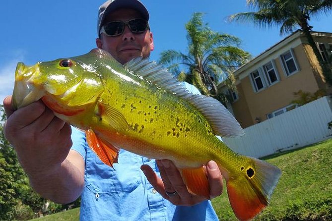Peacock Bass Fishing Trip near West Palm Beach - Fishing South Florida’s Lake Worth waters