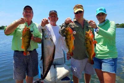 Peacock Bass Fishing Trip near West Palm Beach
