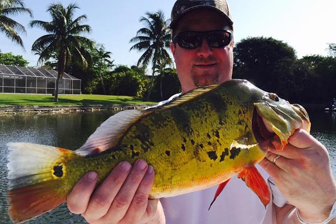 Peacock Bass Fishing Trips near Boca Raton - The price and what you receive for $540