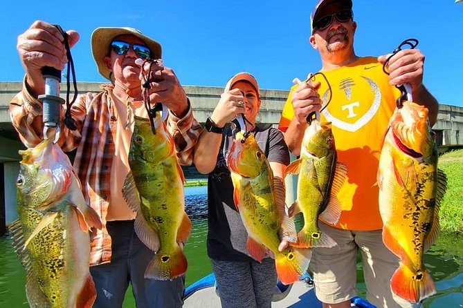 Peacock Bass Fishing Trips near Boca Raton - Who will enjoy this most