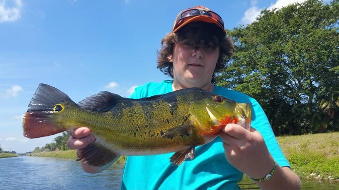 Peacock Bass Fishing Trips Near Key Largo - A private boat makes the $450 price easier to judge