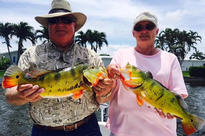 Peacock Bass Fishing Trips Near Key Largo - What happens at the Miami meeting point