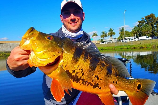 Peacock Bass Fishing Trips Near Miami Florida - Key things to know before you book