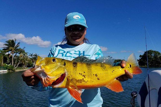 Peacock Bass Fishing Trips Near Miami Florida - Fishing with a captain who teaches as he goes