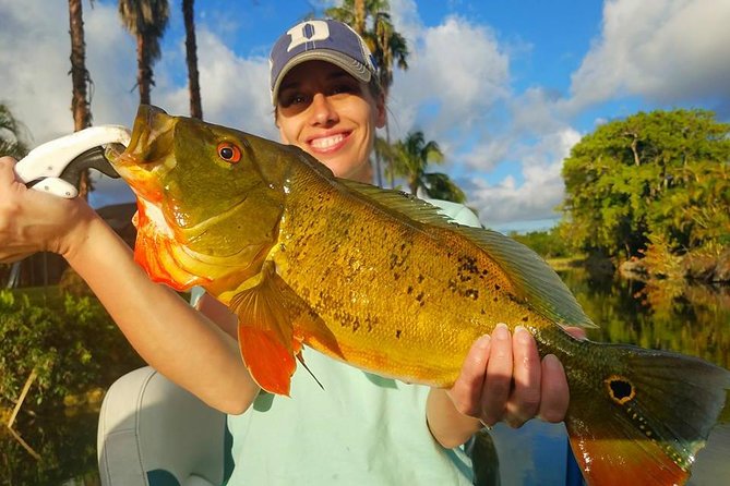 Peacock Bass Fishing Trips Near Miami Florida - What you might catch in four hours
