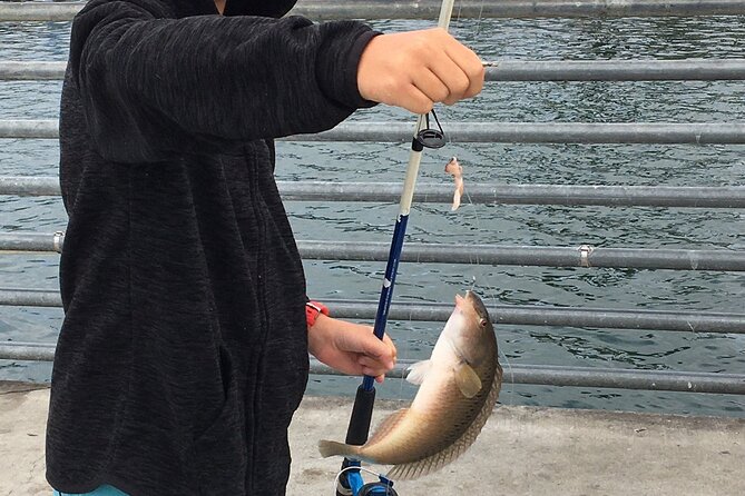Pier Fishing Tour - San Diego - The supplied rod, tackle, and bait