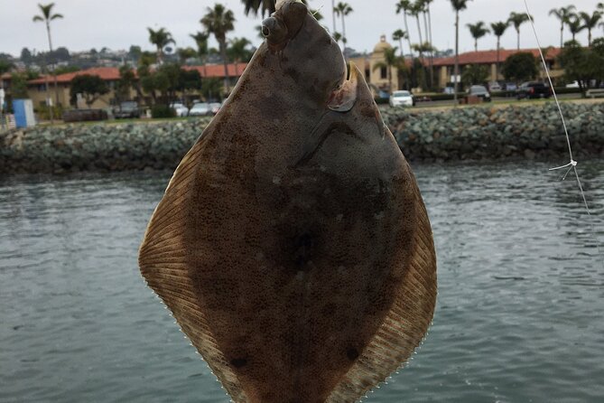Pier Fishing Tour - San Diego - Who should book this Shelter Island experience