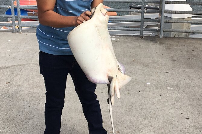 Pier Fishing Tour - San Diego - Learning from the captain, with realistic expectations