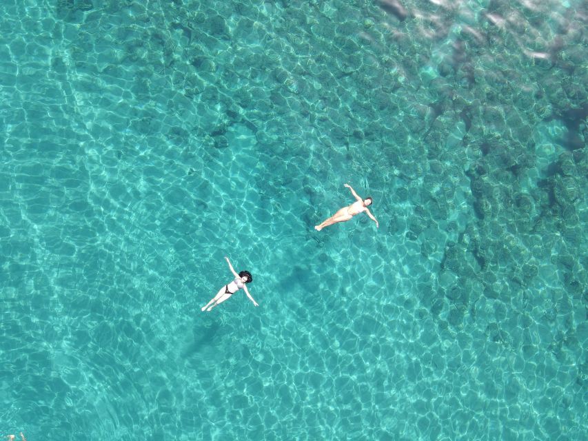 Pizzo: Fishing, Snorkeling, Dolphin Watching - Should you book the Pizzo boat experience?