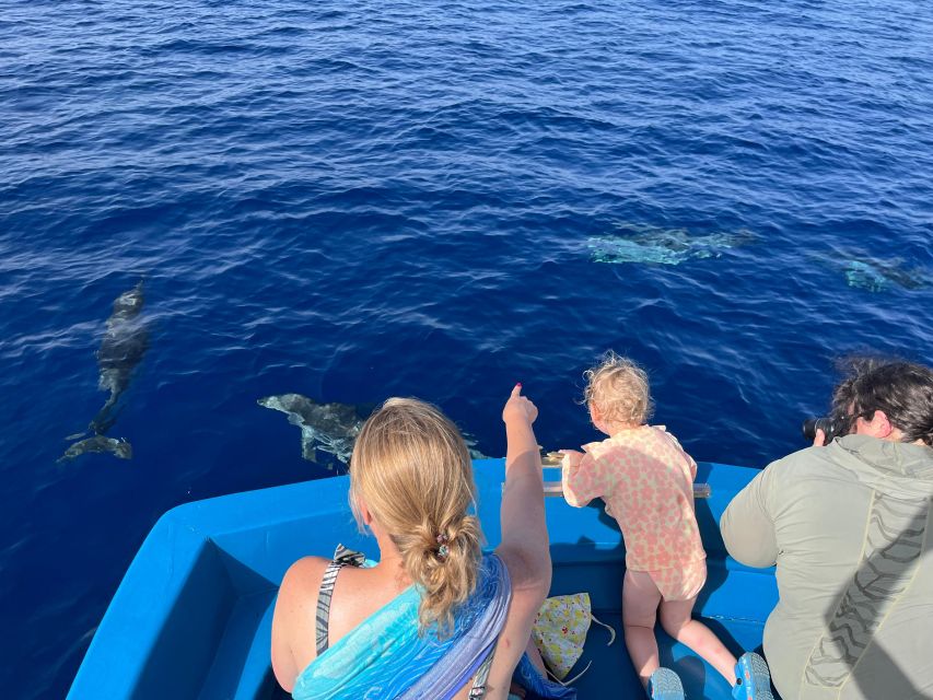 Pizzo: Fishing, Snorkeling, Dolphin Watching - Trolling for tuna and swordfish