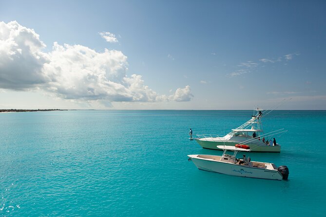 Private 1/2 Day Afternoon Bottom Fishing Charter on "Shady Grady" - Starting at 1pm from Turtle Cove Marina