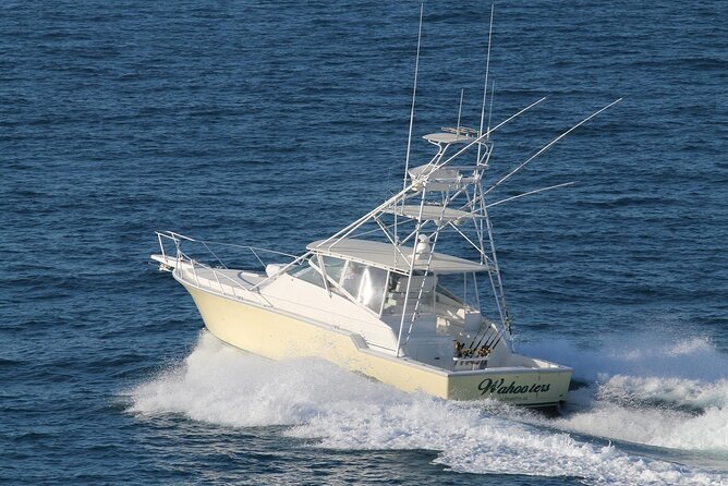 Private 1/2 Day Afternoon Charter Deep Sea Fishing on Wahooter's - Fish cleaning is a useful finish