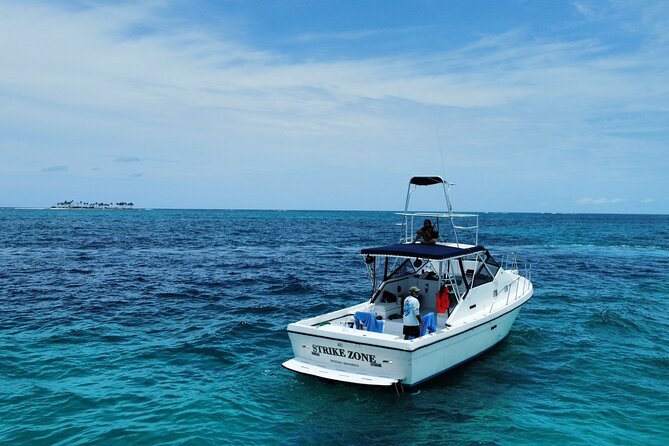 Private 38' Defender Sportfishing/Swim with Pigs in Nassau - A Private Boat Day from Paradise Island