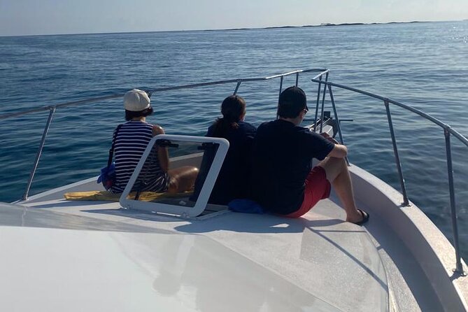 Private 38' Defender Sportfishing/Swim with Pigs in Nassau - Rose Island’s First Reef