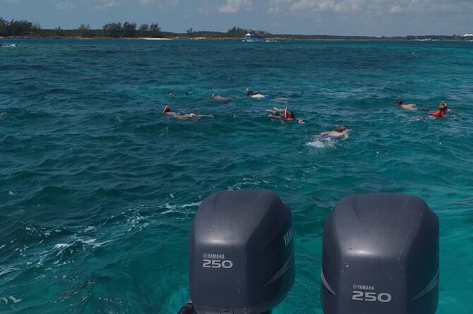 Private 4 hour Rose Island tour snorkeling fishing - Leaving Bayshore Marina for open water