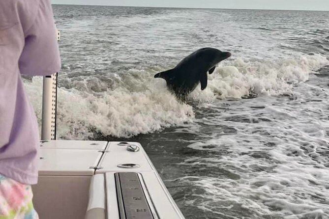 Private 4 Hour Shelling , Fishing and Eco Tour Marco Island FL - Weather, wildlife, and the limits of a four-hour trip