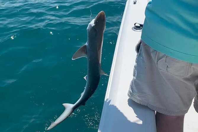 Private 4 hr Fishing Tour with Master Captain Bill Phillips - Starting at Bahia Mar West Marina near Bradenton