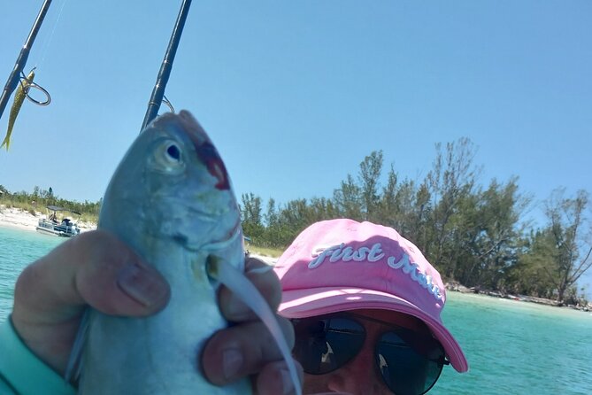 Private 4 hr Fishing Tour with Master Captain Bill Phillips - Wildlife adds something extra