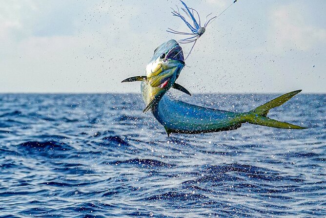 Private 6 Hour Fishing Charter in Nassau - Who will get the most from this charter